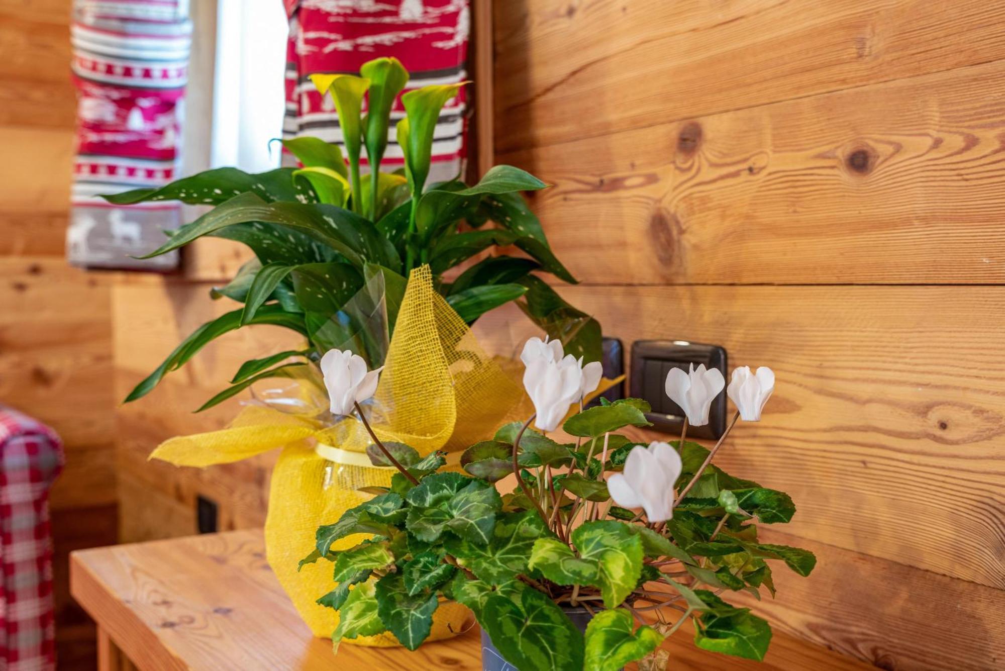 Chalet Camping Fae 3 Villa Madonna Eksteriør bilde